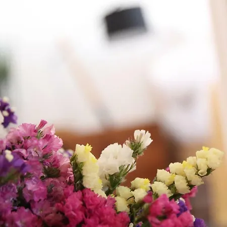 Apartment Maria Dos Anjos - Free Indoor Parking *