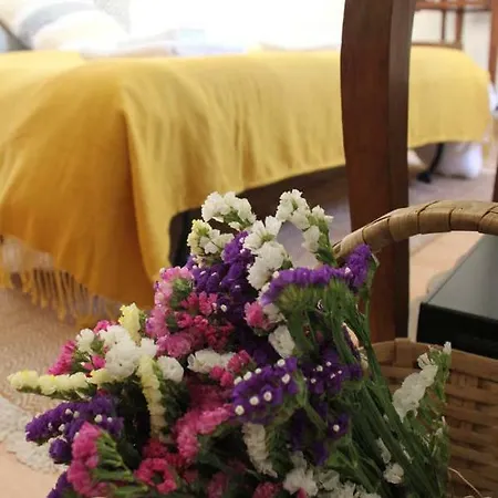 Apartment Maria Dos Anjos - Free Indoor Parking
